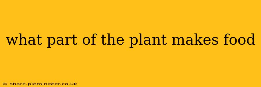 what part of the plant makes food
