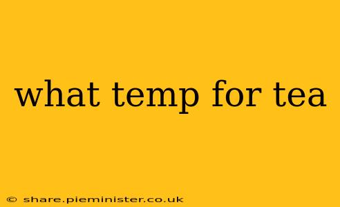 what temp for tea
