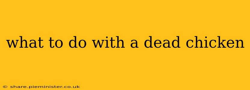 what to do with a dead chicken