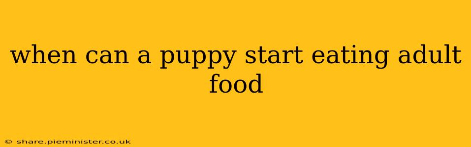 when can a puppy start eating adult food