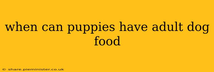 when can puppies have adult dog food