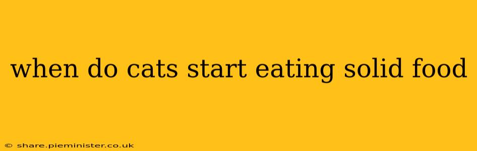 when do cats start eating solid food