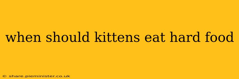 when should kittens eat hard food