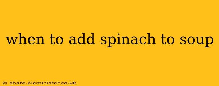 when to add spinach to soup