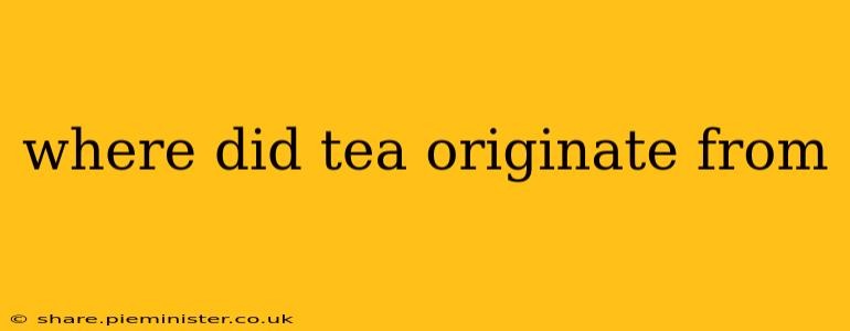 where did tea originate from