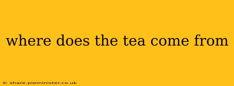 where does the tea come from