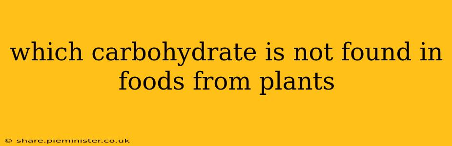 which carbohydrate is not found in foods from plants