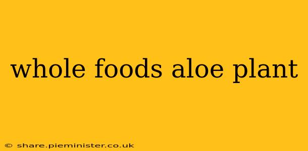 whole foods aloe plant