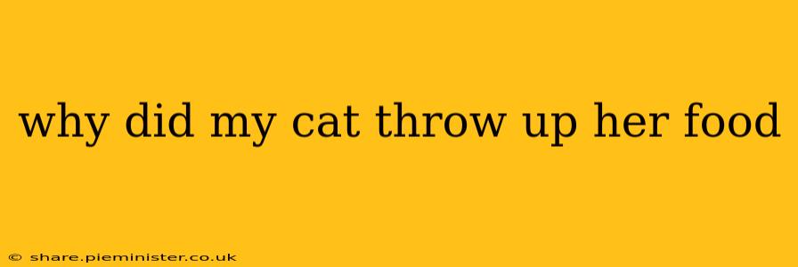why did my cat throw up her food
