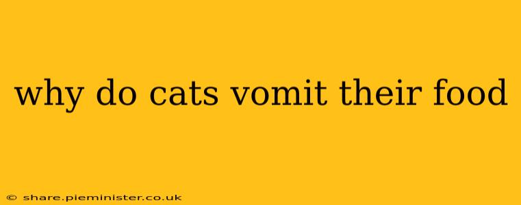 why do cats vomit their food
