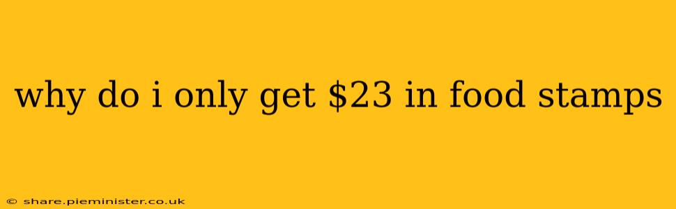 why do i only get $23 in food stamps