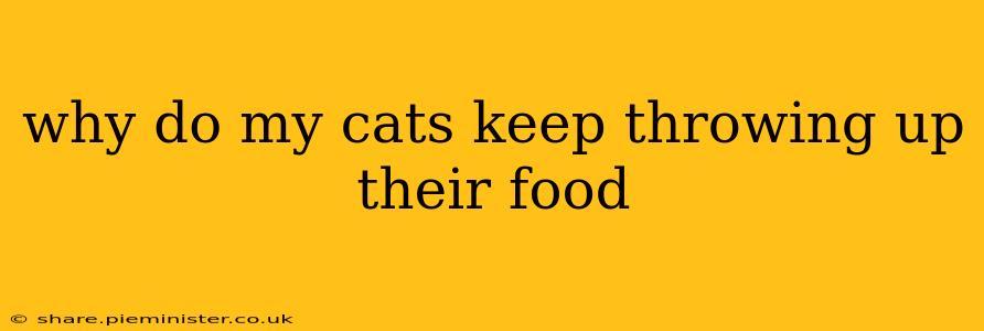 why do my cats keep throwing up their food