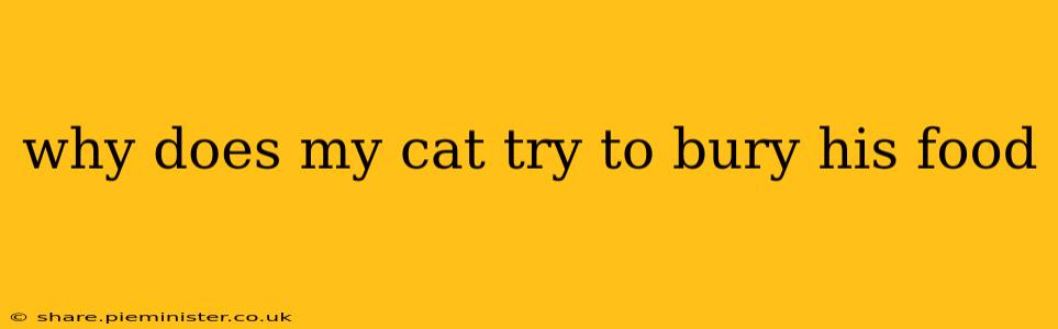 why does my cat try to bury his food