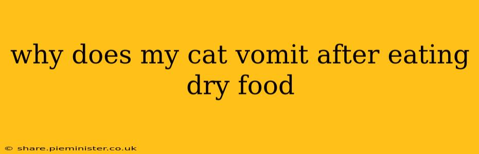 why does my cat vomit after eating dry food
