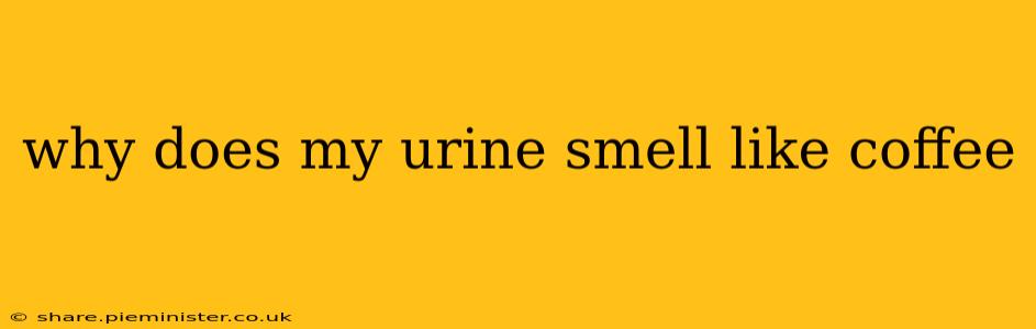 why does my urine smell like coffee