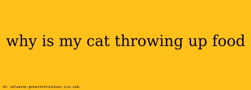 why is my cat throwing up food