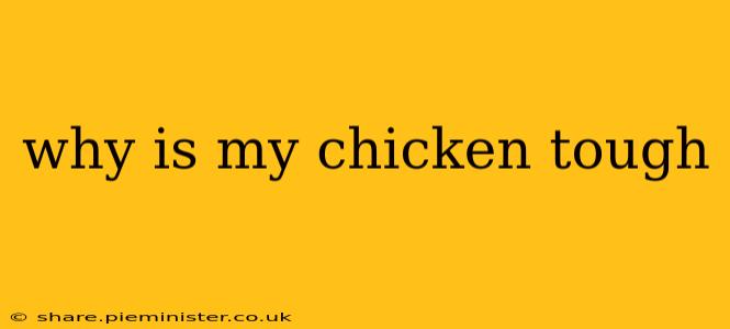 why is my chicken tough