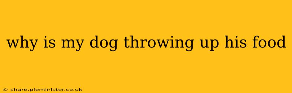 why is my dog throwing up his food