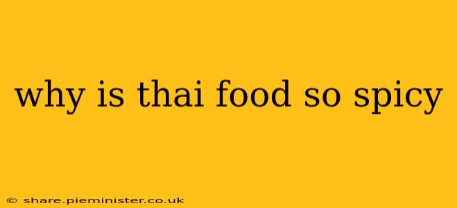 why is thai food so spicy