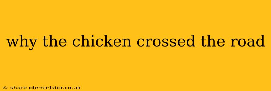 why the chicken crossed the road