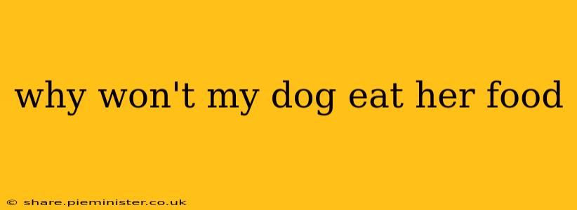 why won't my dog eat her food
