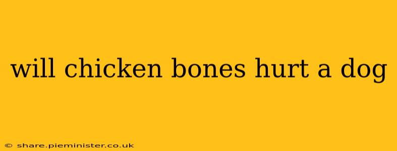 will chicken bones hurt a dog