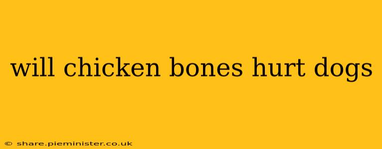 will chicken bones hurt dogs