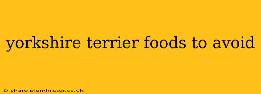 yorkshire terrier foods to avoid
